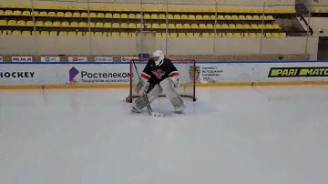 Вратарская клюшка Qovo