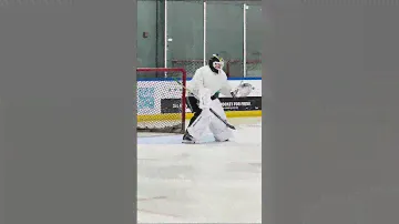 Bauer GSX pads and blocker with a gorgeous AG5NT stick. #GoalieGearSnob #BauerGoalie