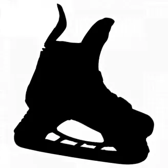 Коньки Bauer S23 Vapor Sr