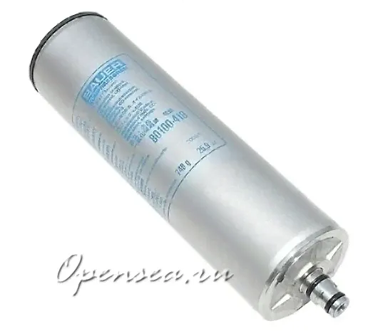 Фильтр-картридж для Bauer Р31
